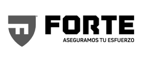 logo forte